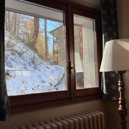 브루일서비니아 Raffinato Ed Accogliente Monolocale Di Montagna 아파트 외부 사진